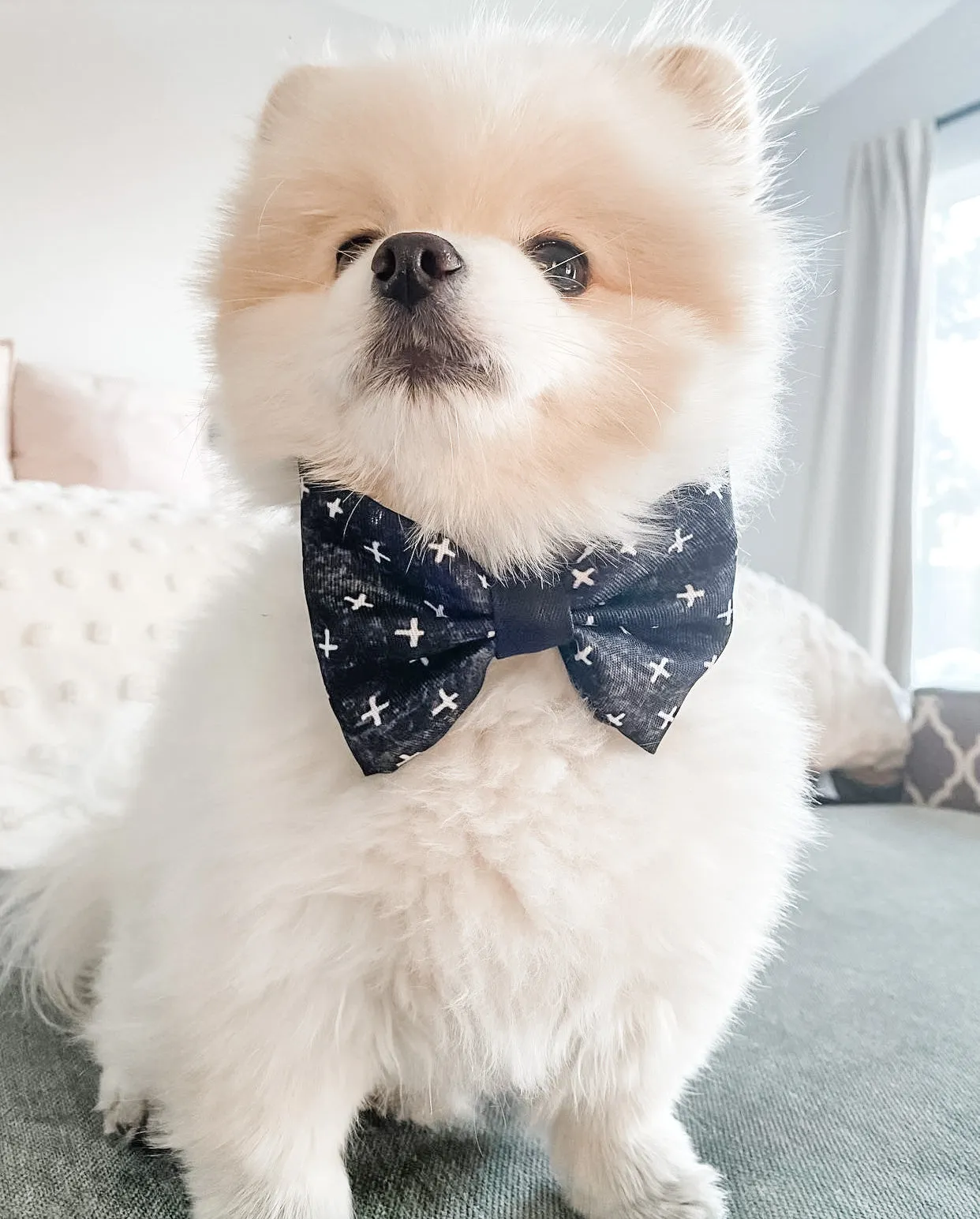 Blessed Bow