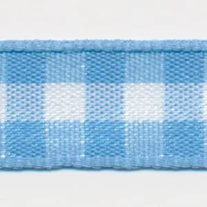 Check Ribbon #9 Sax & White