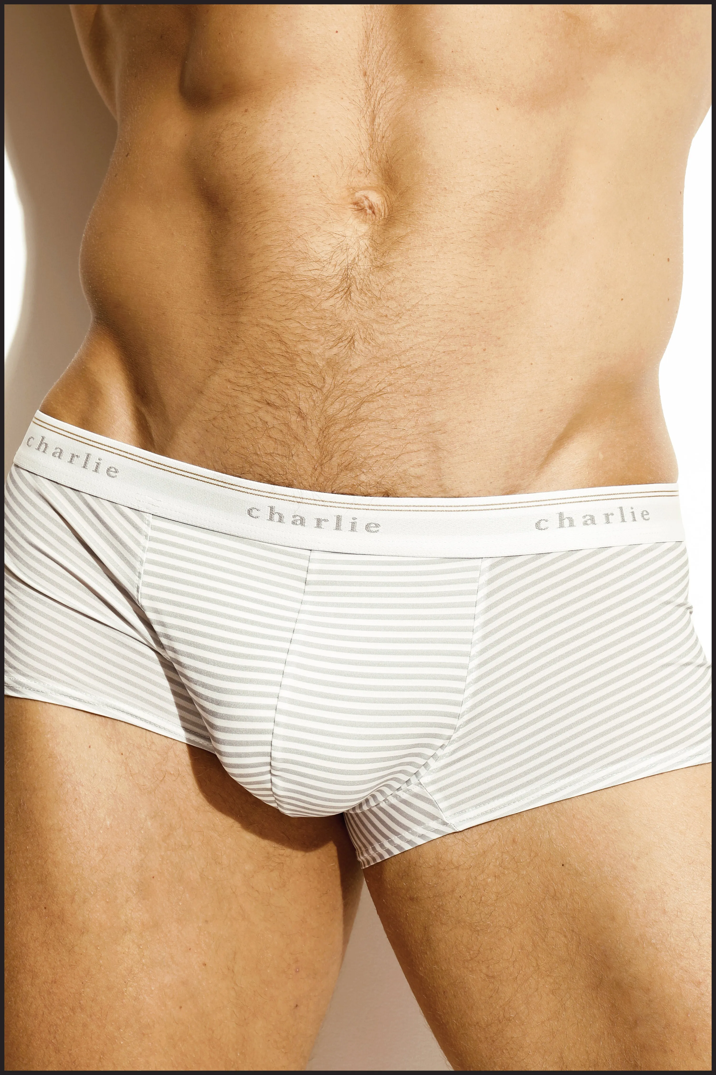 Classic Trunk - GREY STRIPE