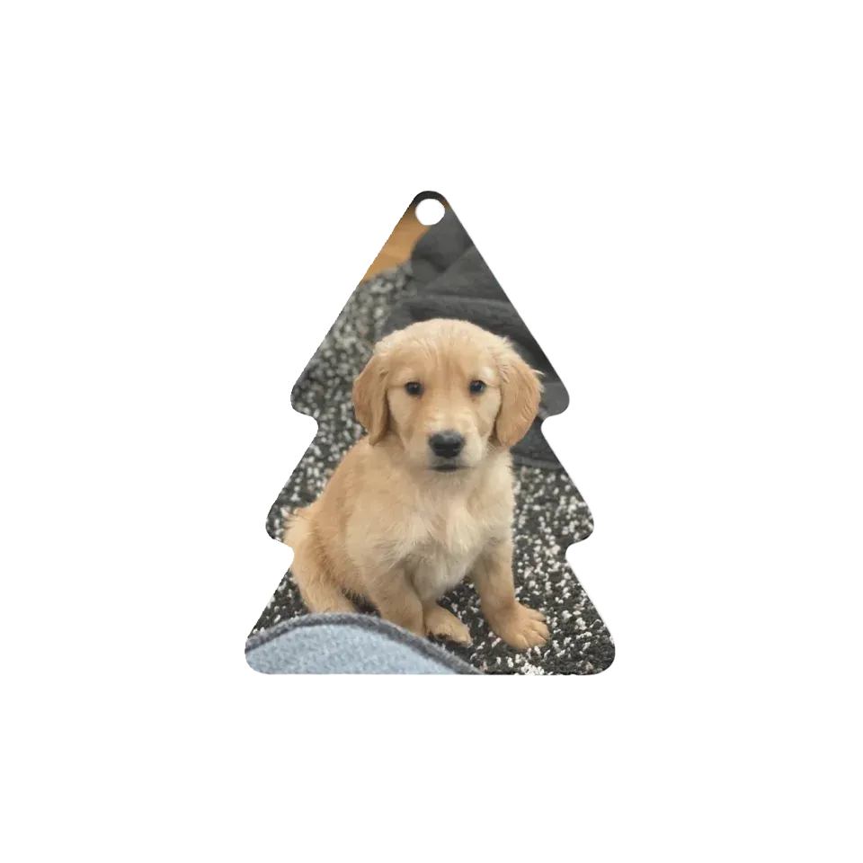 Custom Metal Photo Ornament