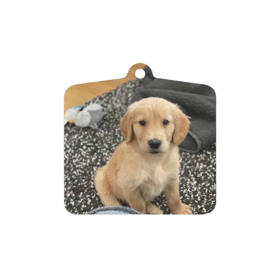 Custom Metal Photo Ornament