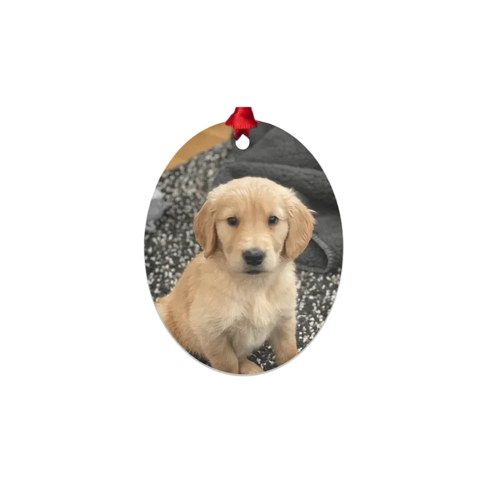 Custom Metal Photo Ornament