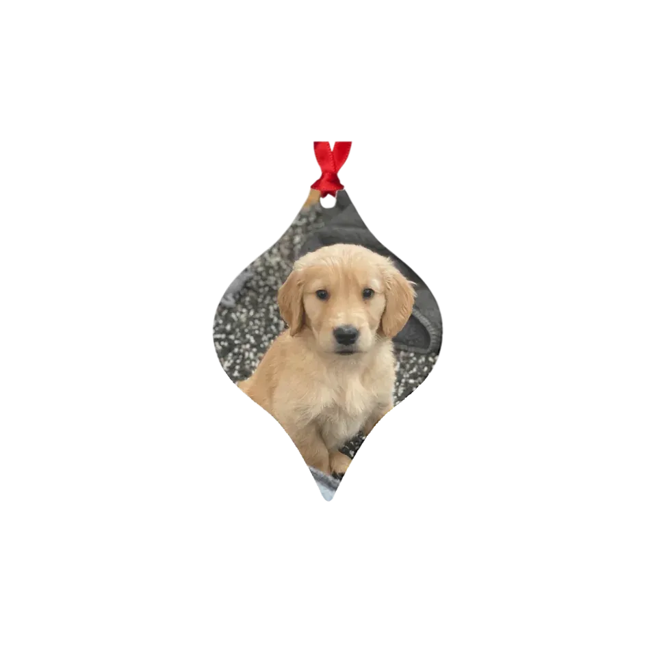 Custom Metal Photo Ornament