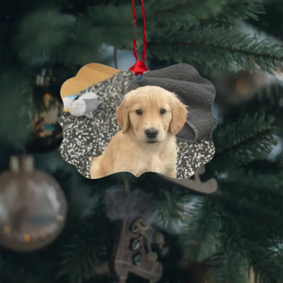 Custom Metal Photo Ornament