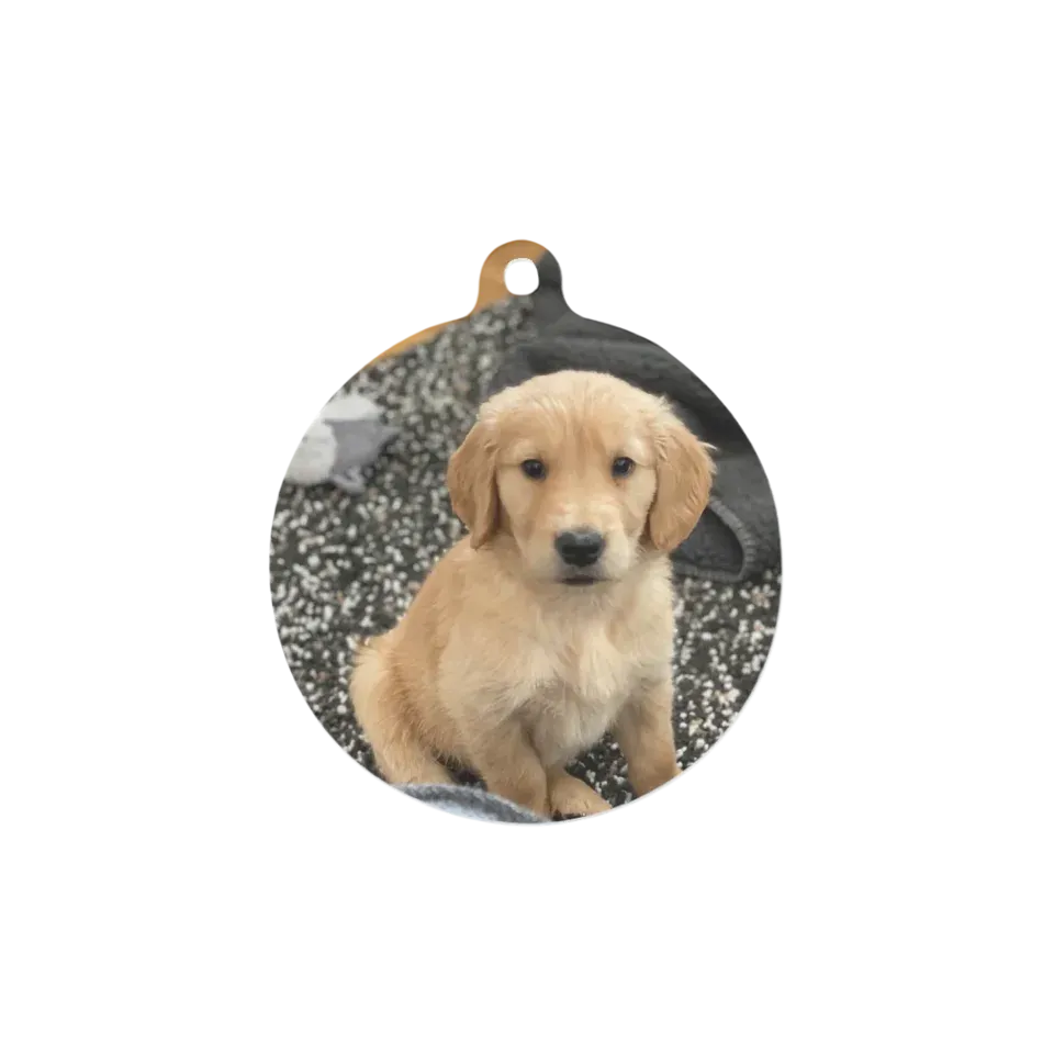 Custom Metal Photo Ornament