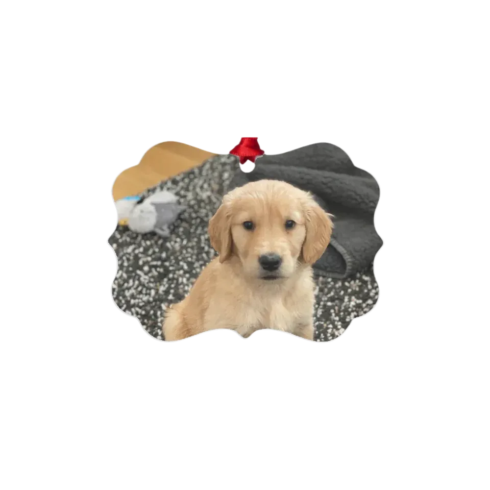 Custom Metal Photo Ornament