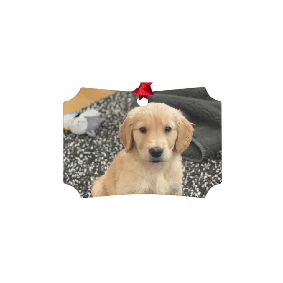 Custom Metal Photo Ornament