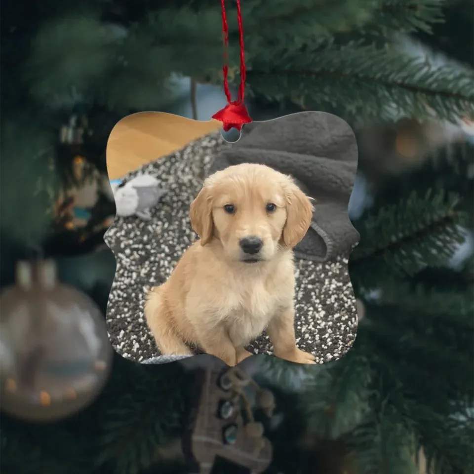 Custom Metal Photo Ornament
