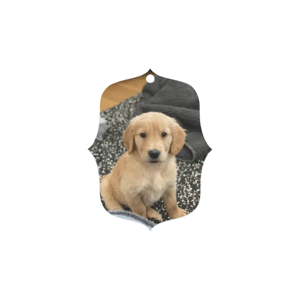 Custom Metal Photo Ornament