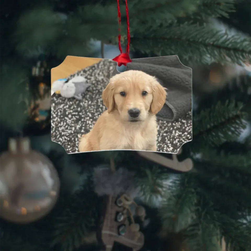 Custom Metal Photo Ornament
