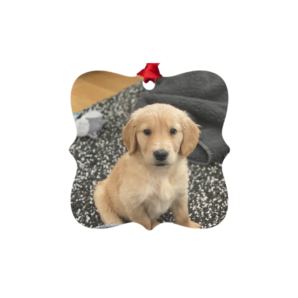 Custom Metal Photo Ornament