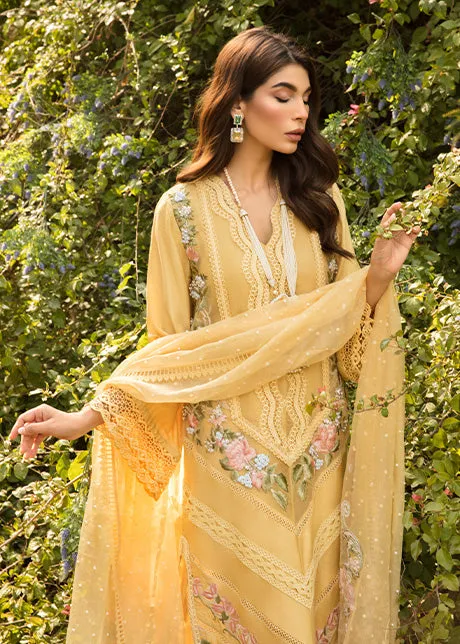 Daffodil