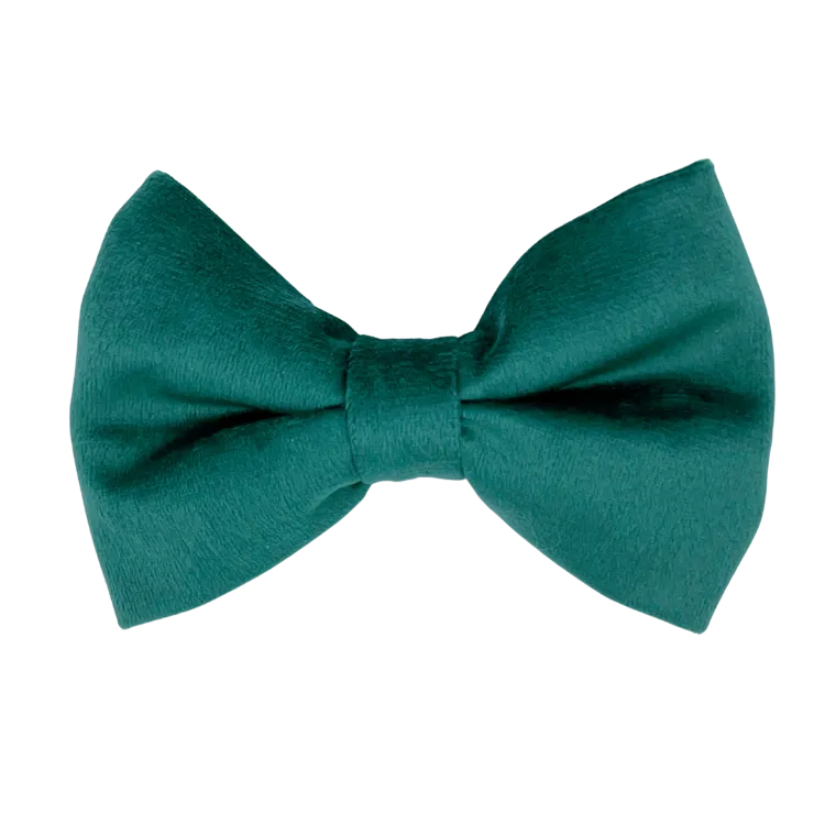 Emerald Velvet - Dog Bowtie