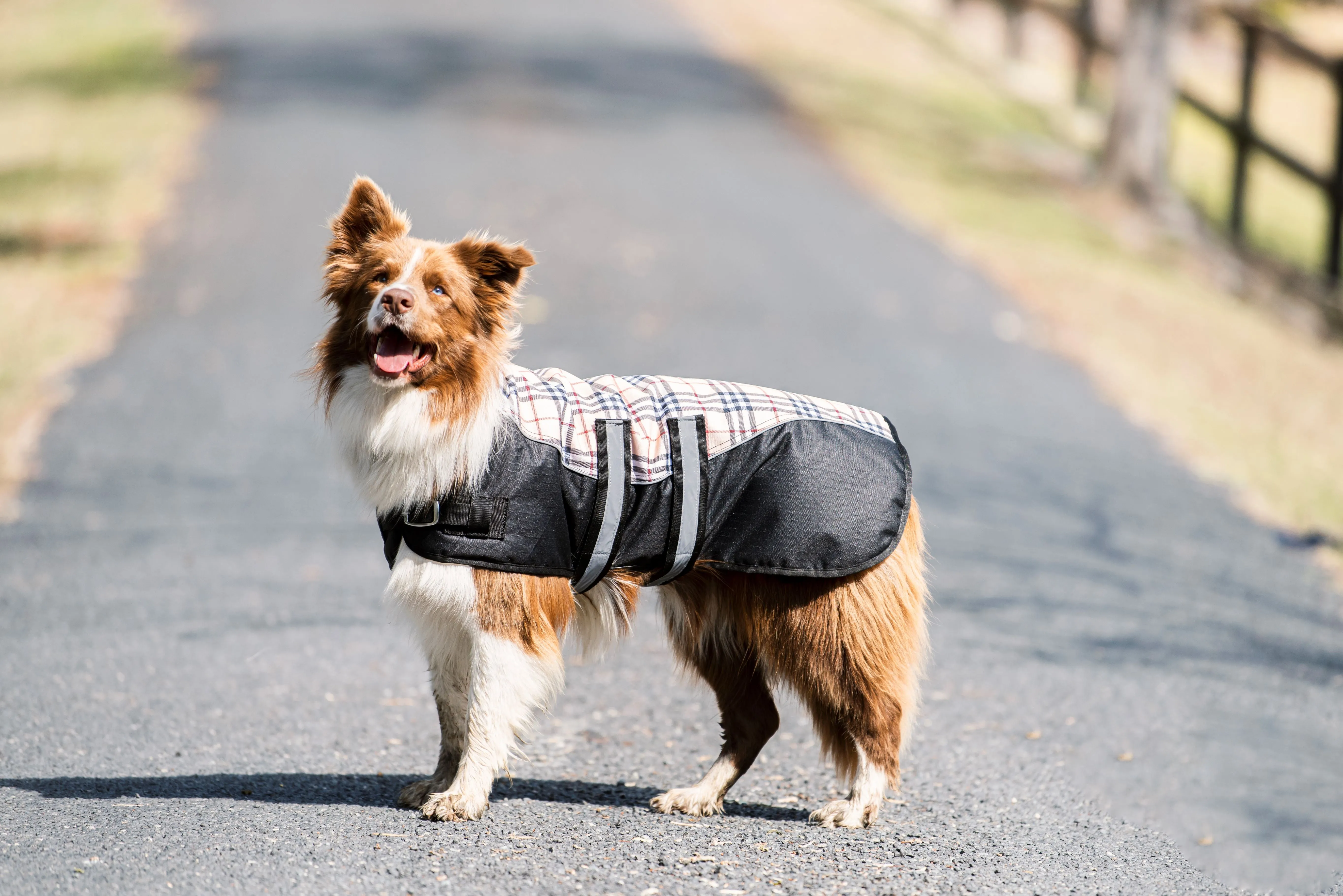Eureka 600D Bounty Huntar Dog Coat Classic Check