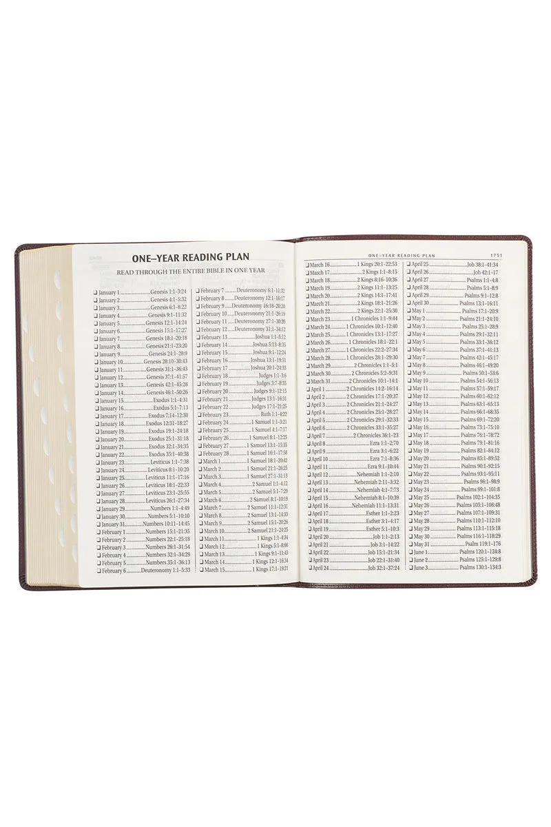 Framed Burgundy Faux Leather Super Giant Print KJV Bible