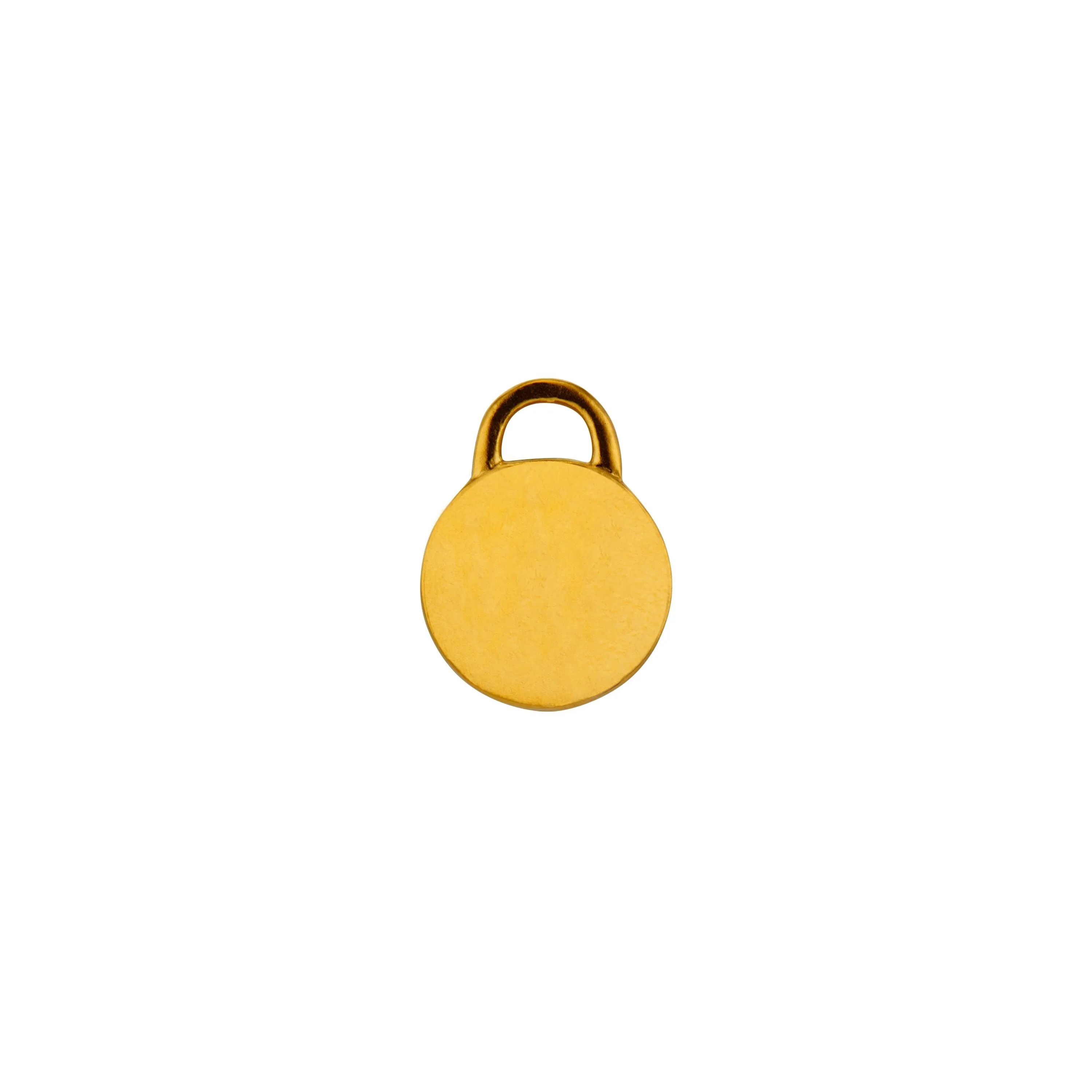 Mini Classic Pet Tag