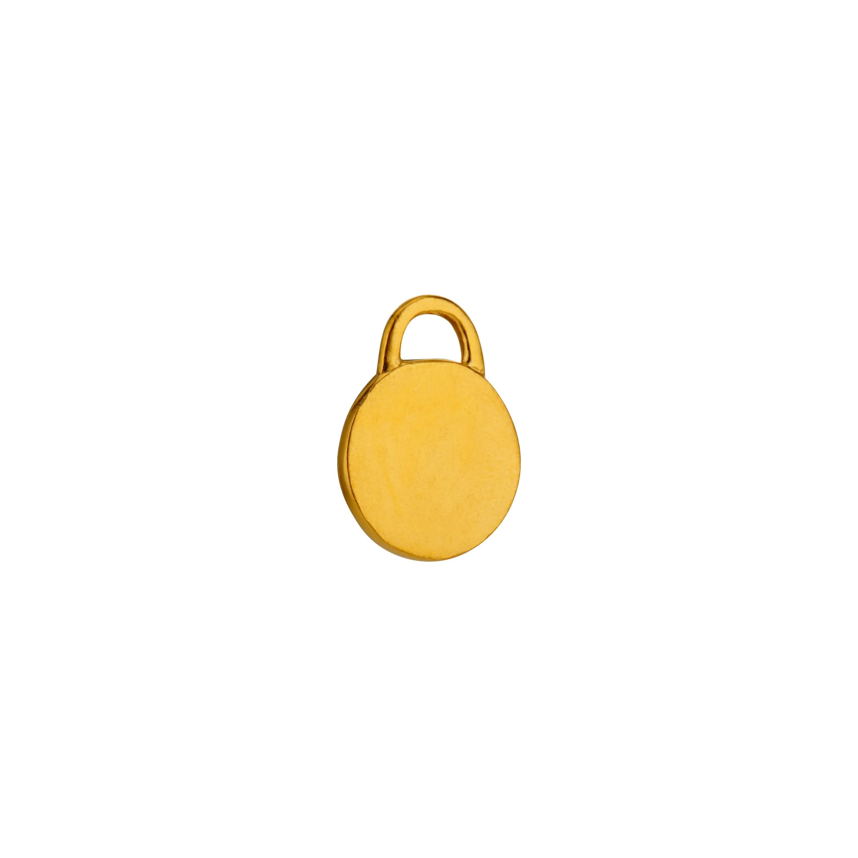 Mini Classic Pet Tag