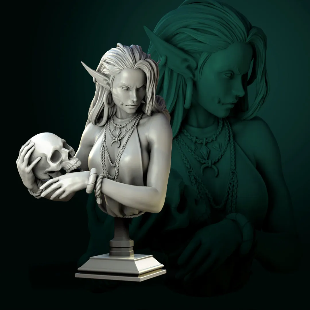 Necromancer and Friends