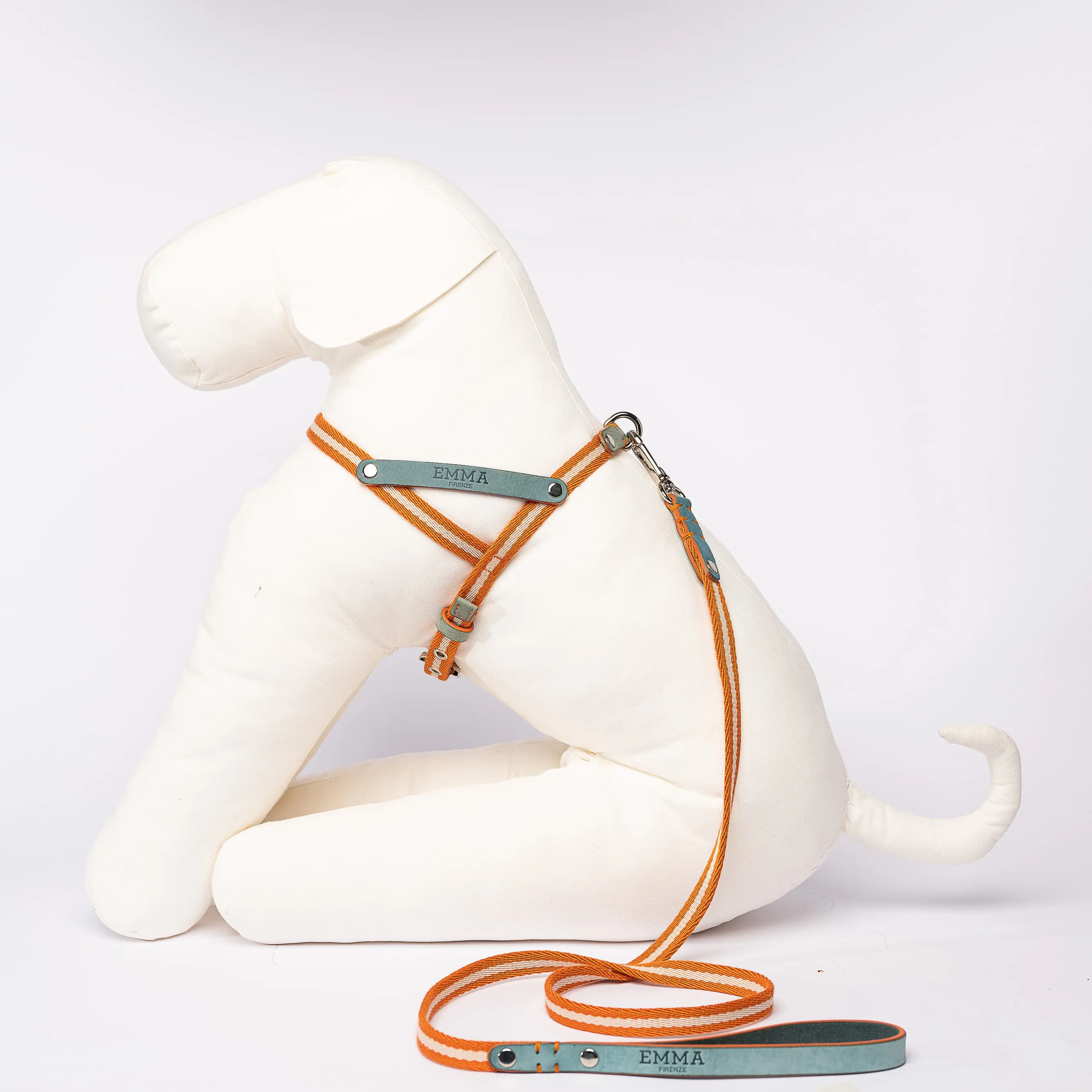 Nubuck Celestial Leash