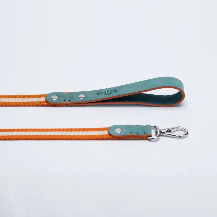 Nubuck Celestial Leash