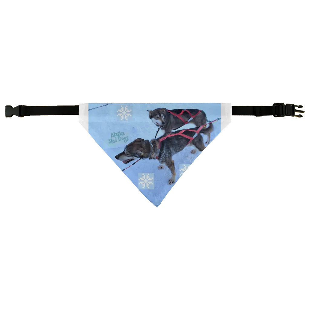Pet Bandana - Alaska Sled Dogs Collection