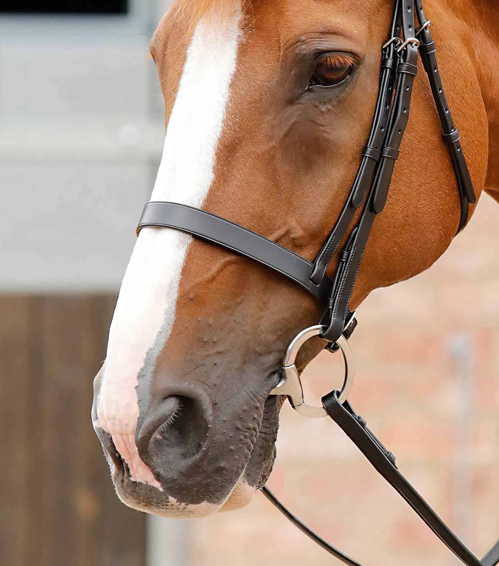 Primo Hunter Cavesson Noseband Black